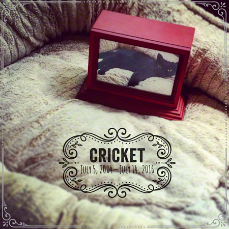 Crickets Urn Insta Version R Olson 450